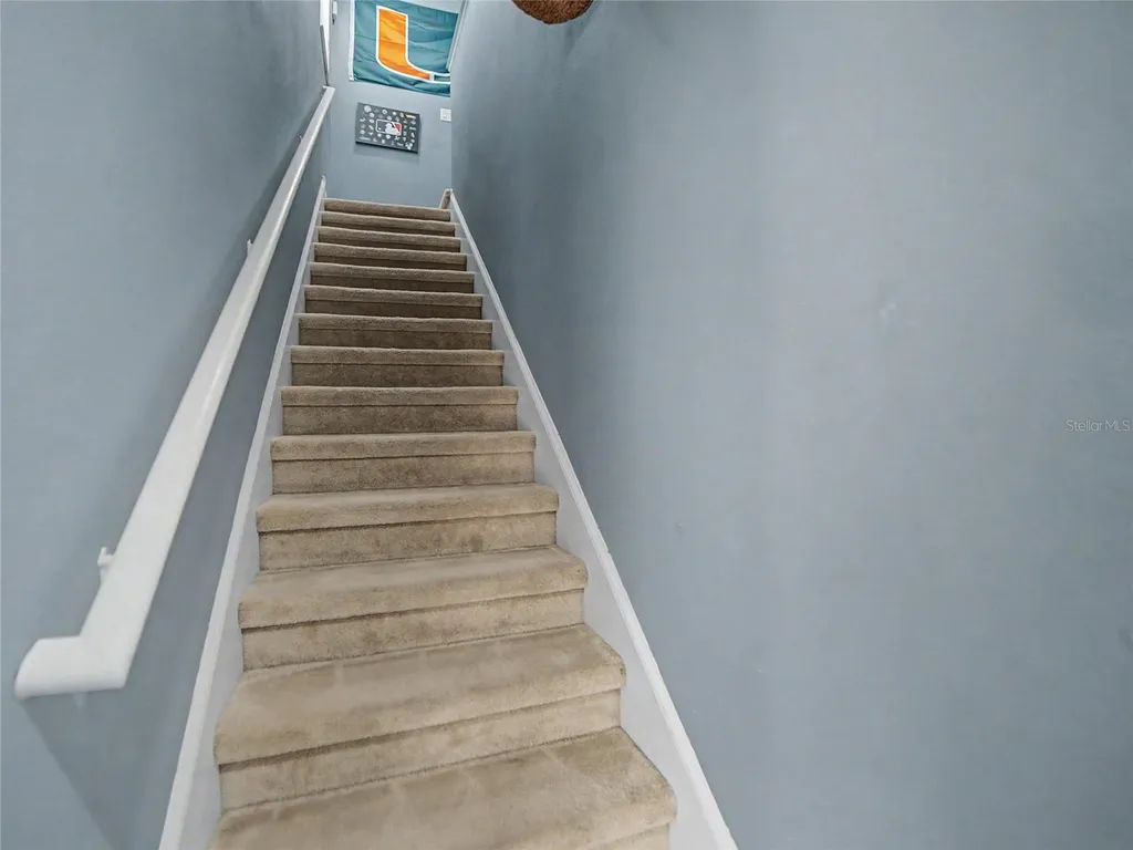 16910 Dorman Road Lithia FL 33547