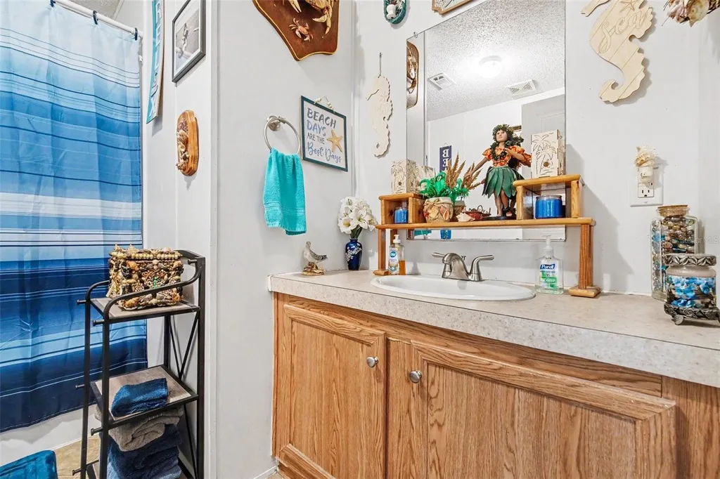 2205 Hibiscus Avenue Middleburg FL 32068