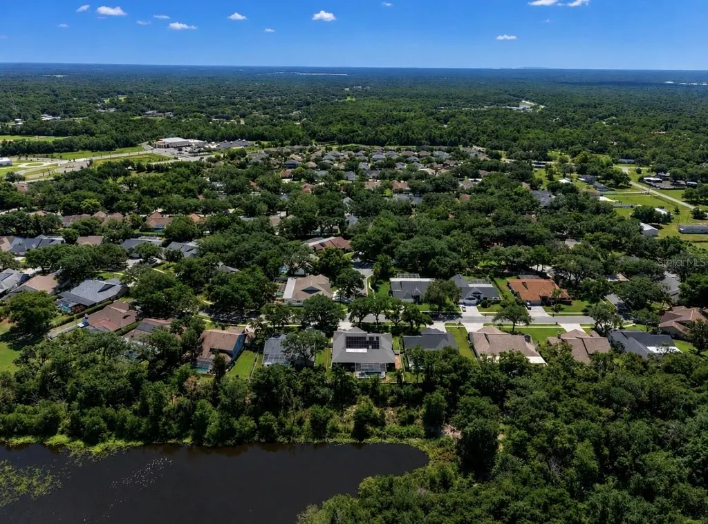 2517 Mason Oaks Drive Valrico FL 33596