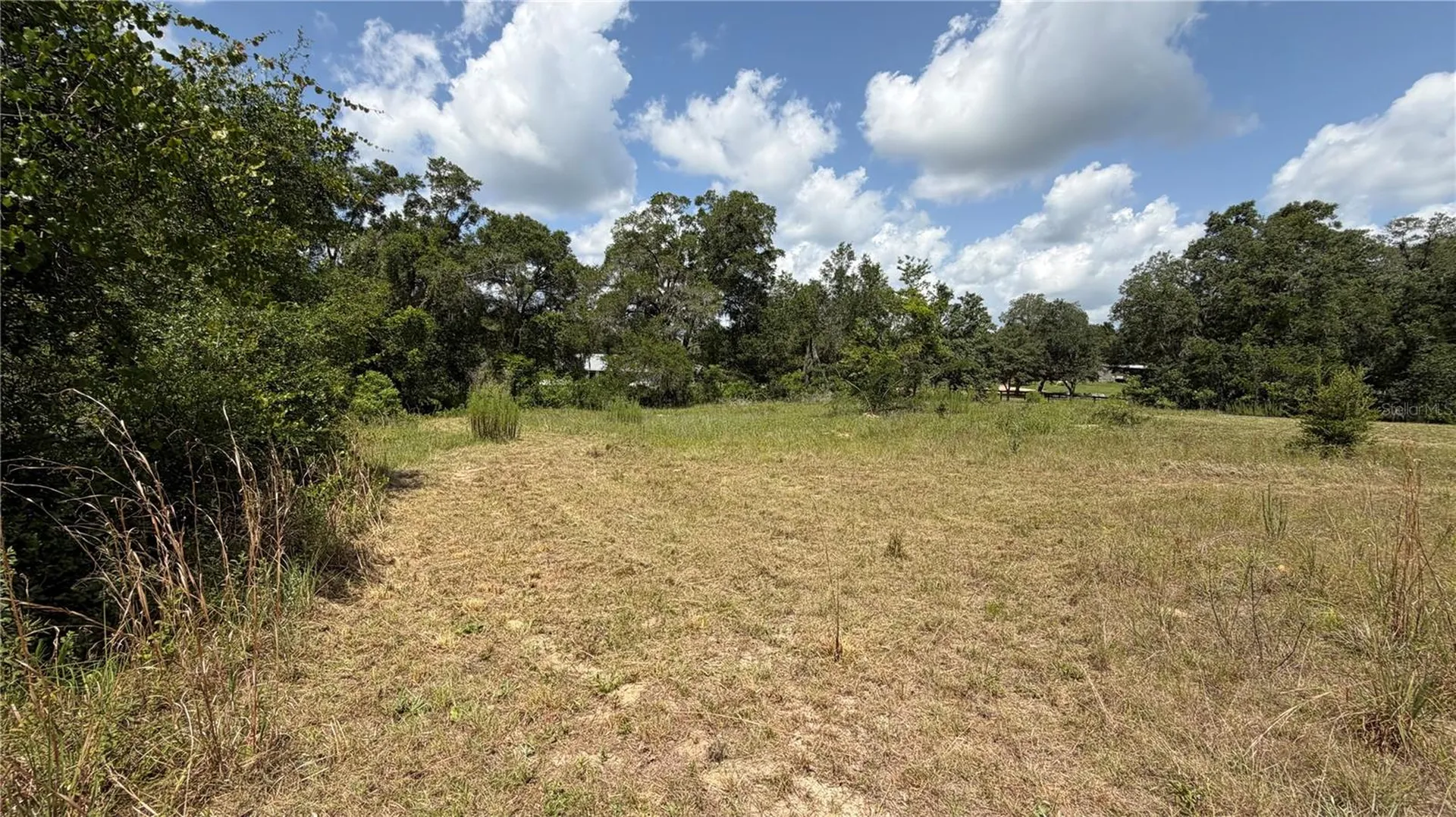 4934 N Tanglewood Avenue Hernando FL 34442