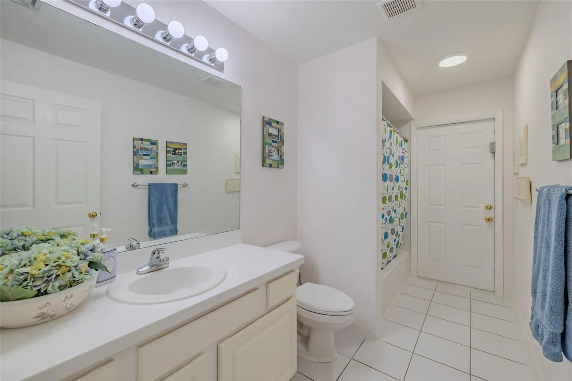 1617 Vistoso Lane Sun City Center FL 33573