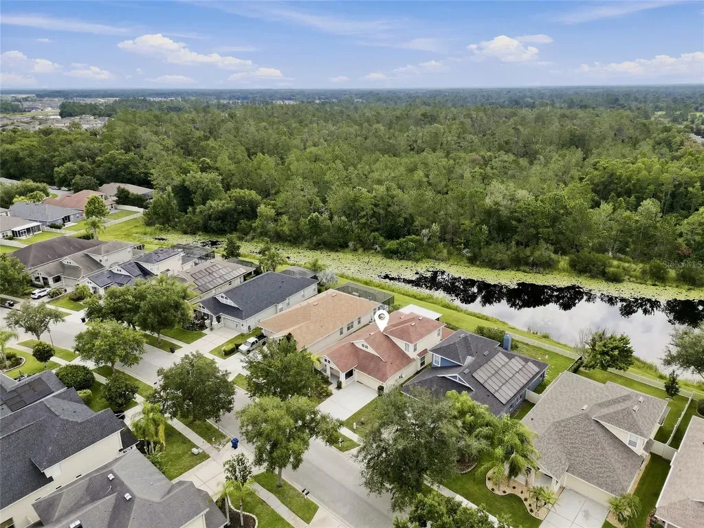 7806 Grasmere Drive Land O Lakes FL 34637