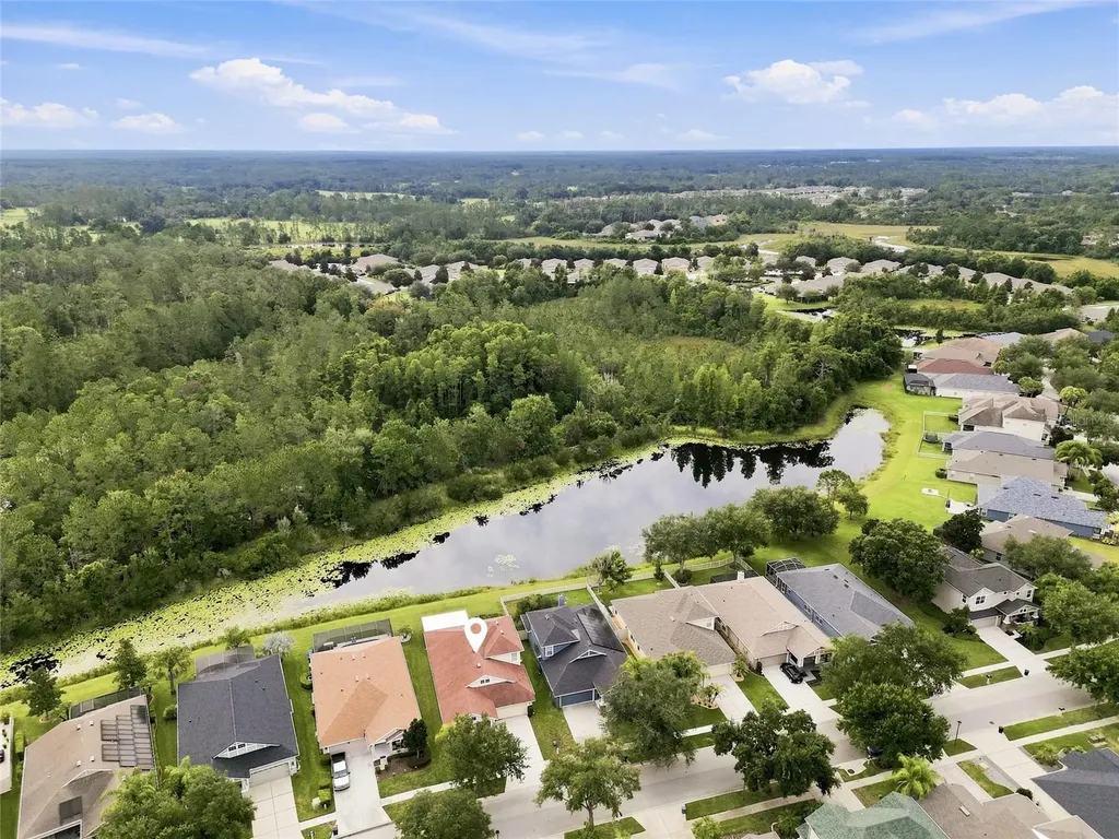 7806 Grasmere Drive Land O Lakes FL 34637