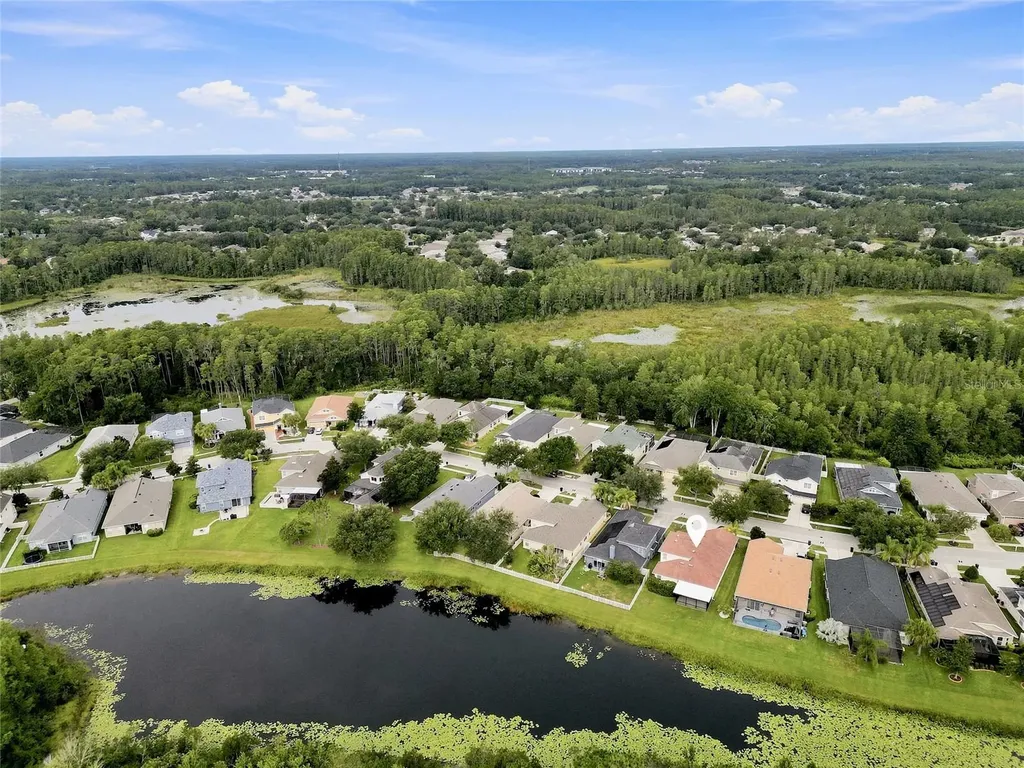 7806 Grasmere Drive Land O Lakes FL 34637