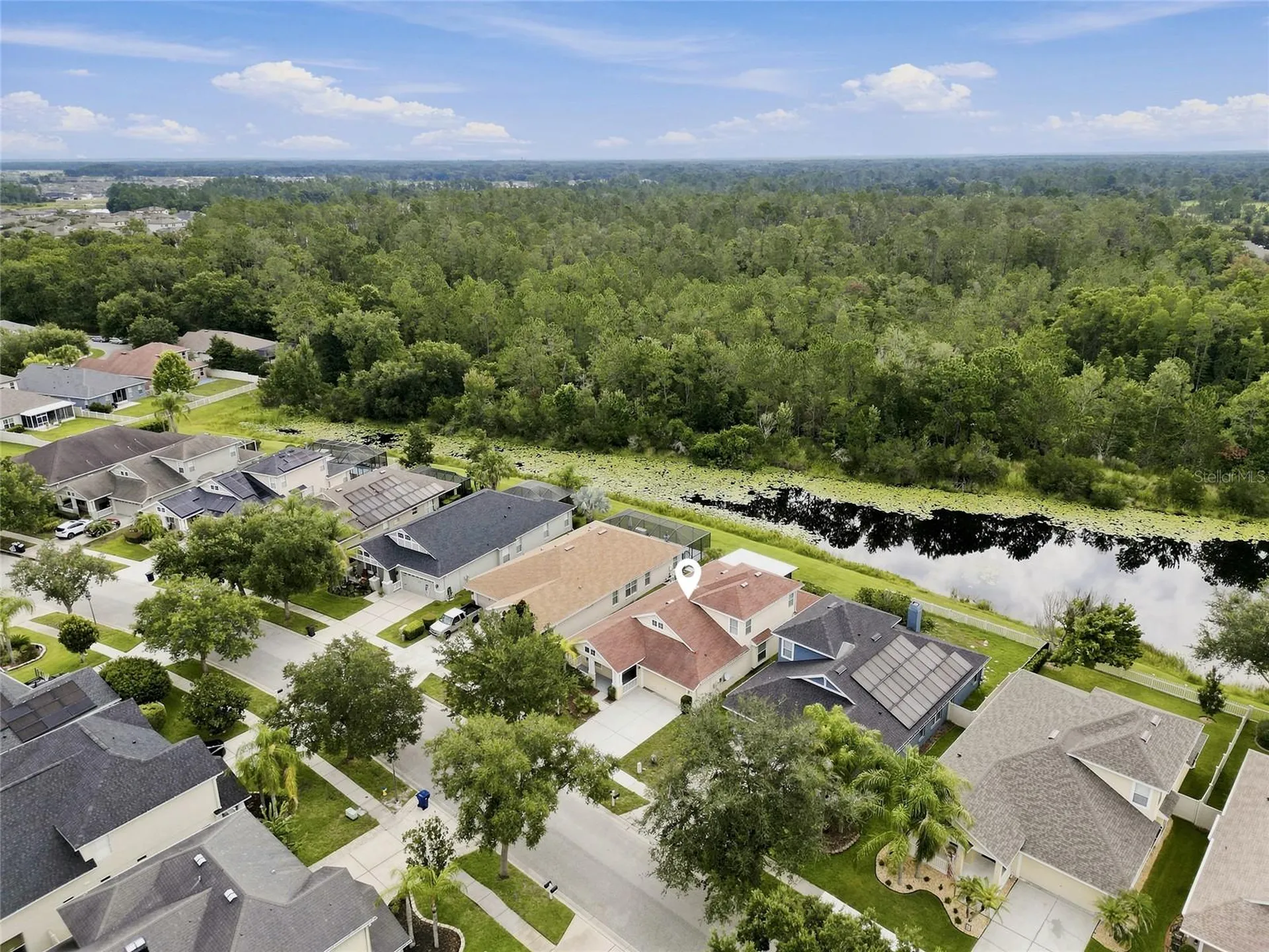 7806 Grasmere Drive Land O Lakes FL 34637