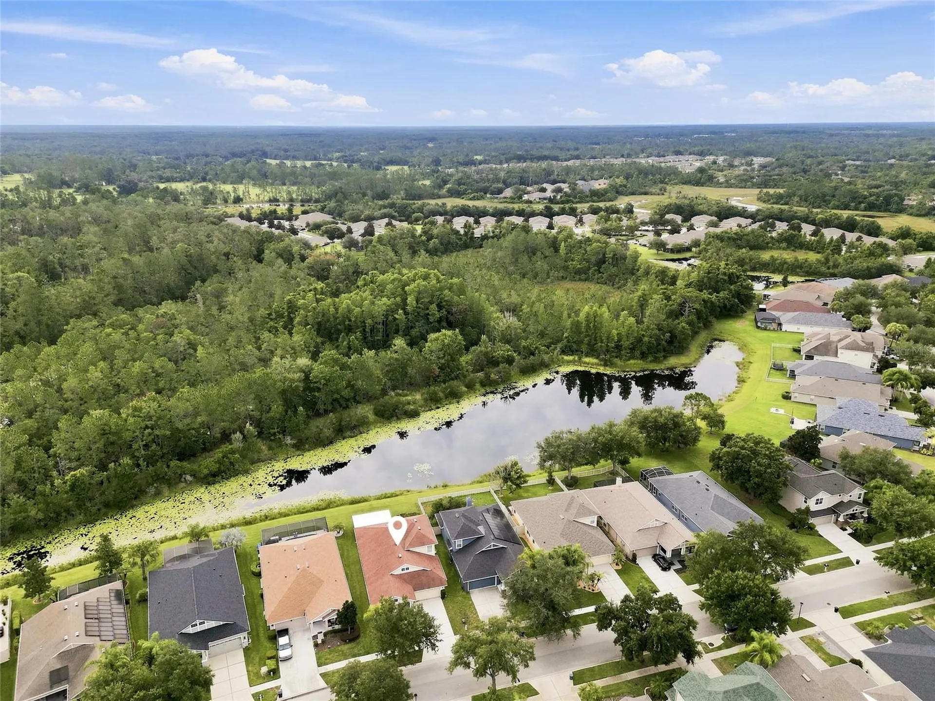 7806 Grasmere Drive Land O Lakes FL 34637