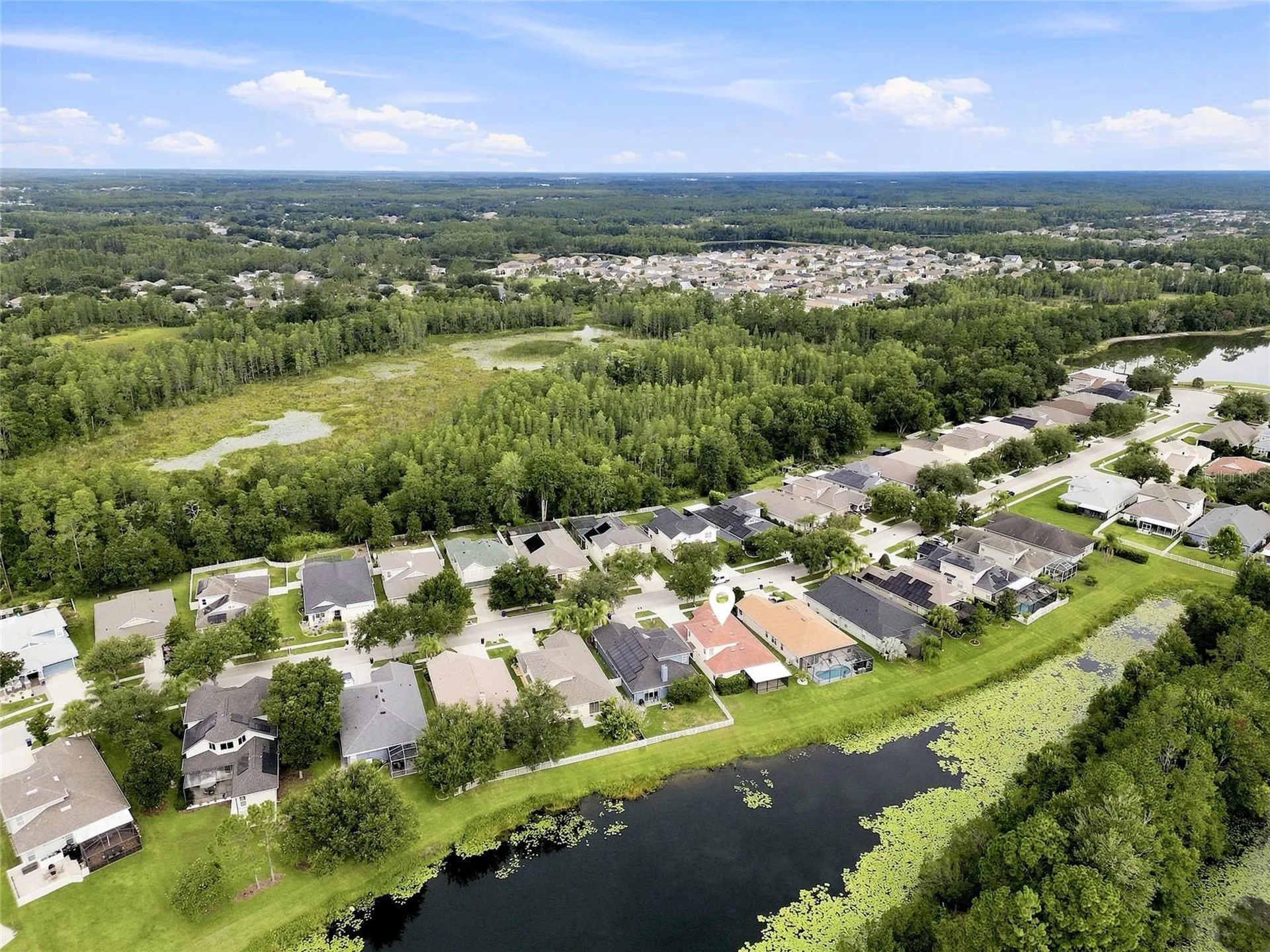 7806 Grasmere Drive Land O Lakes FL 34637
