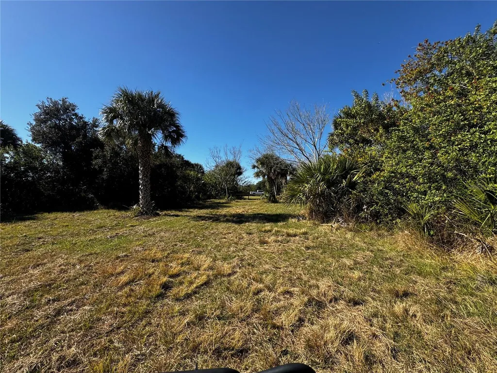 3100 Grantline Road Mims FL 32754