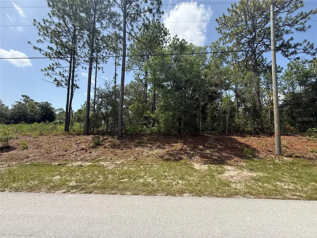 7069 N Santos Drive Citrus Springs FL 34434