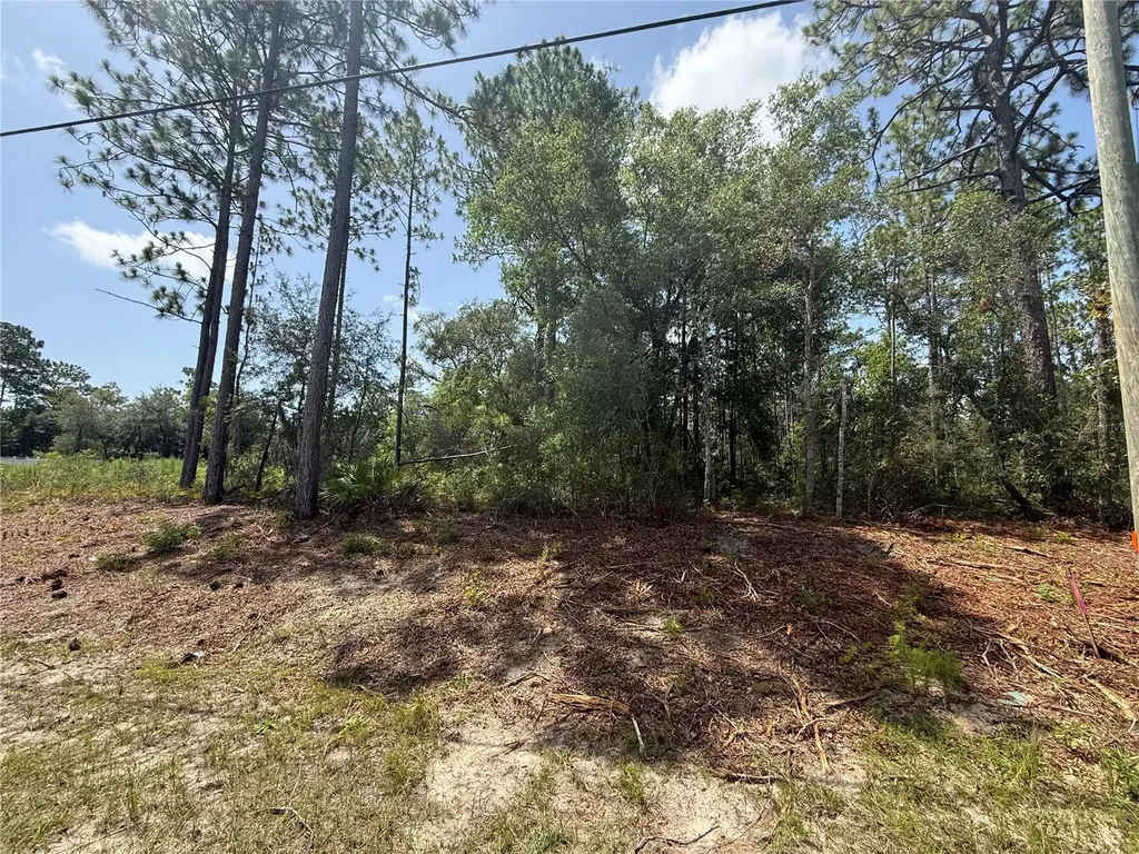 7069 N Santos Drive Citrus Springs FL 34434