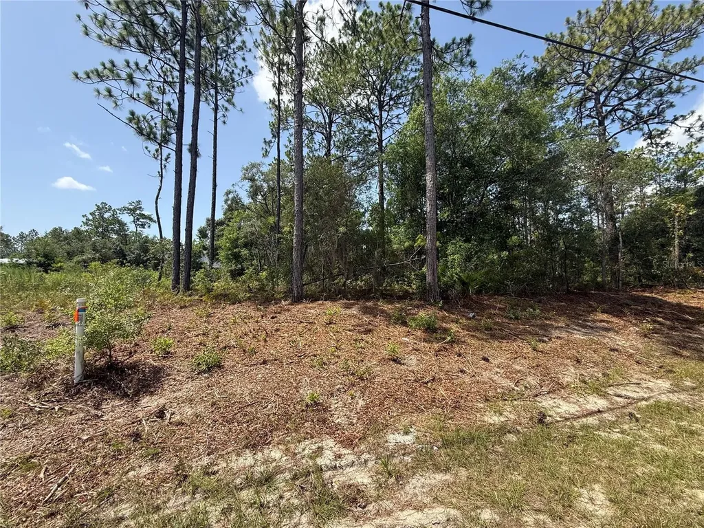 7069 N Santos Drive Citrus Springs FL 34434