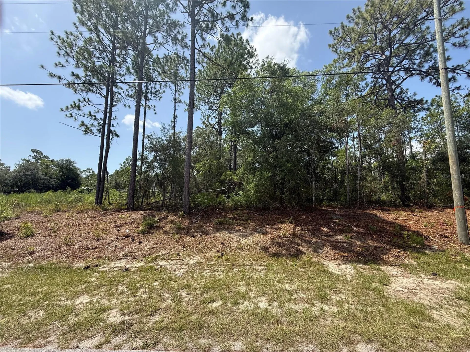 7069 N Santos Drive Citrus Springs FL 34434