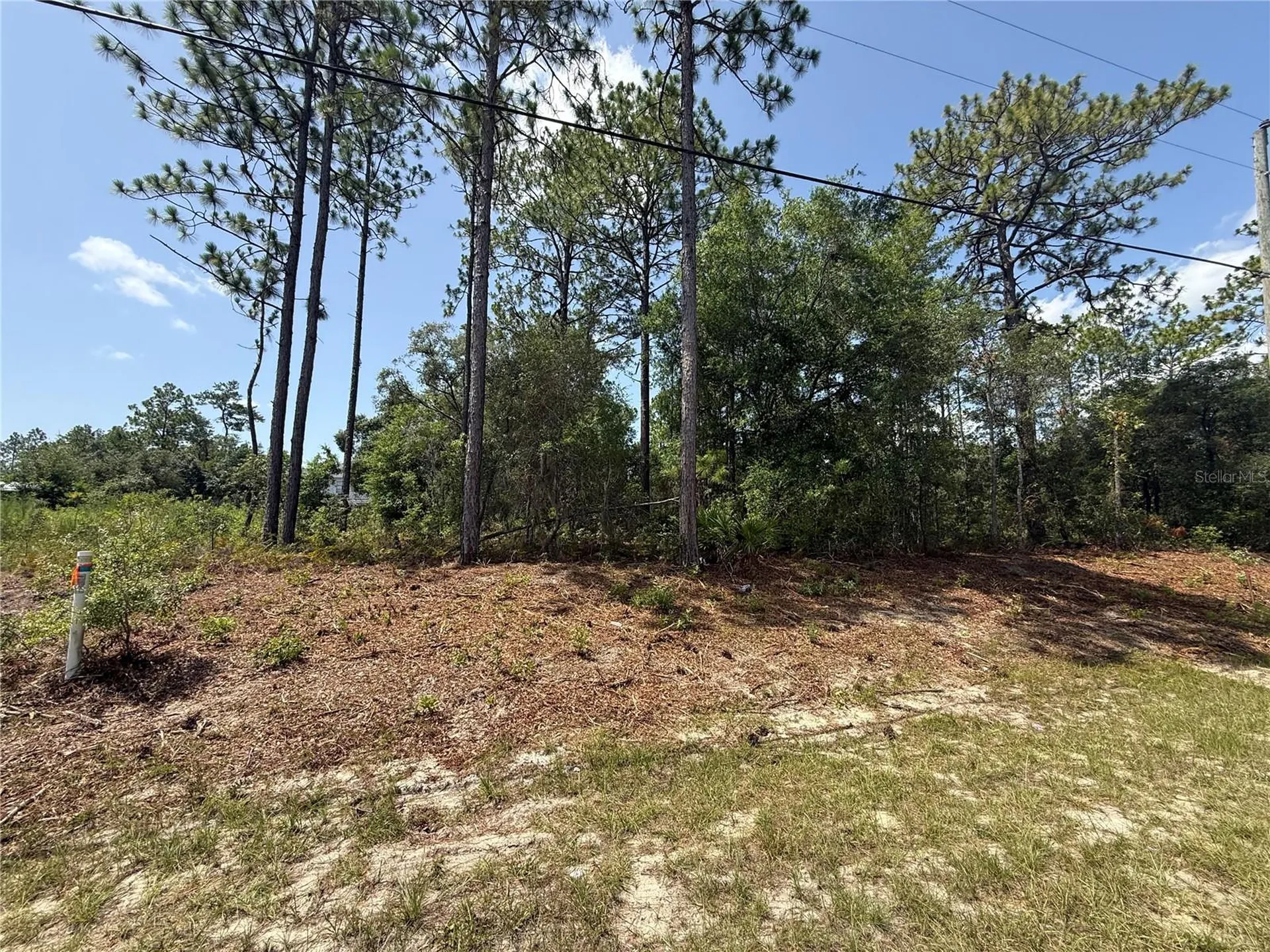 7069 N Santos Drive Citrus Springs FL 34434