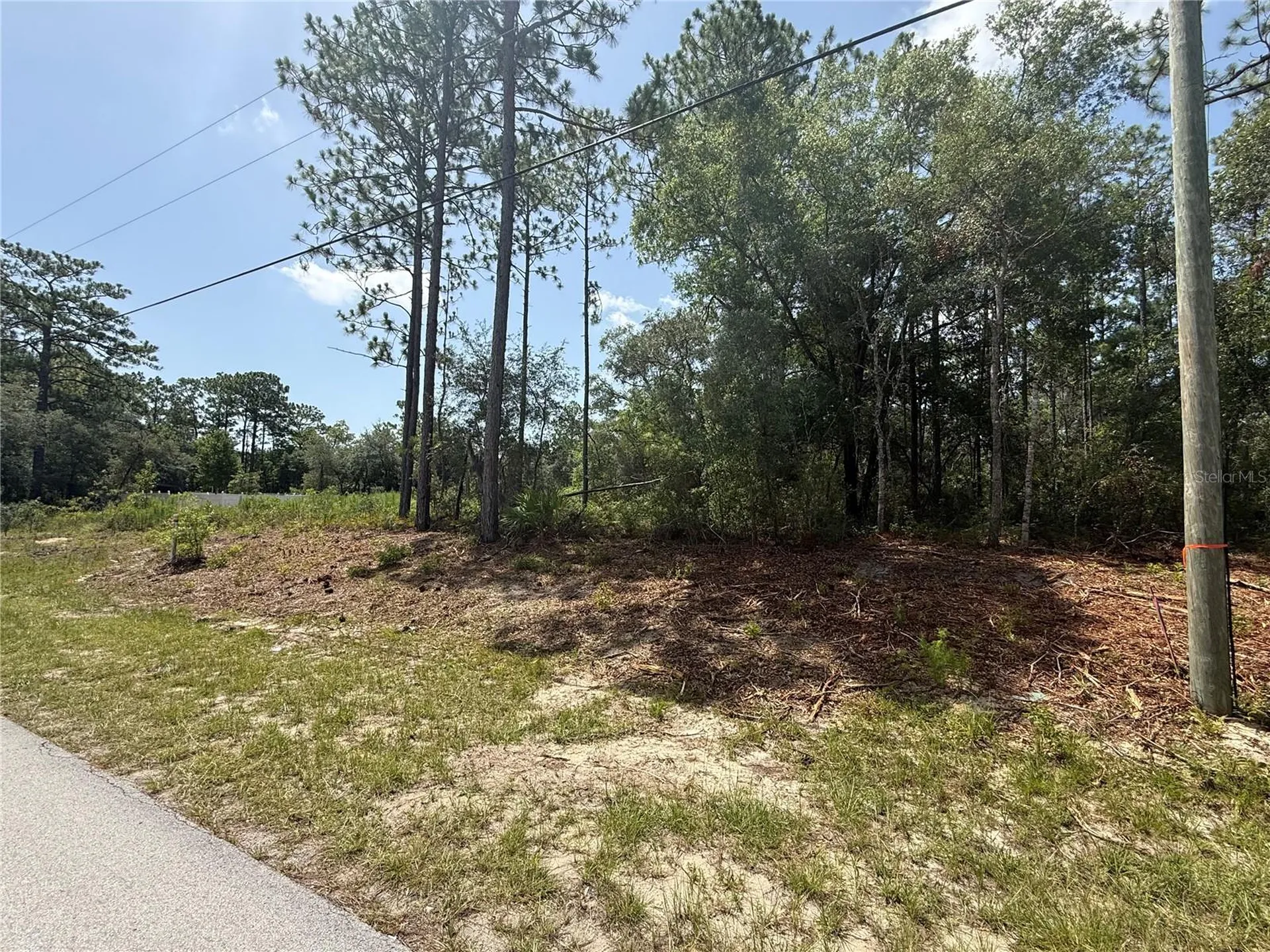 7069 N Santos Drive Citrus Springs FL 34434