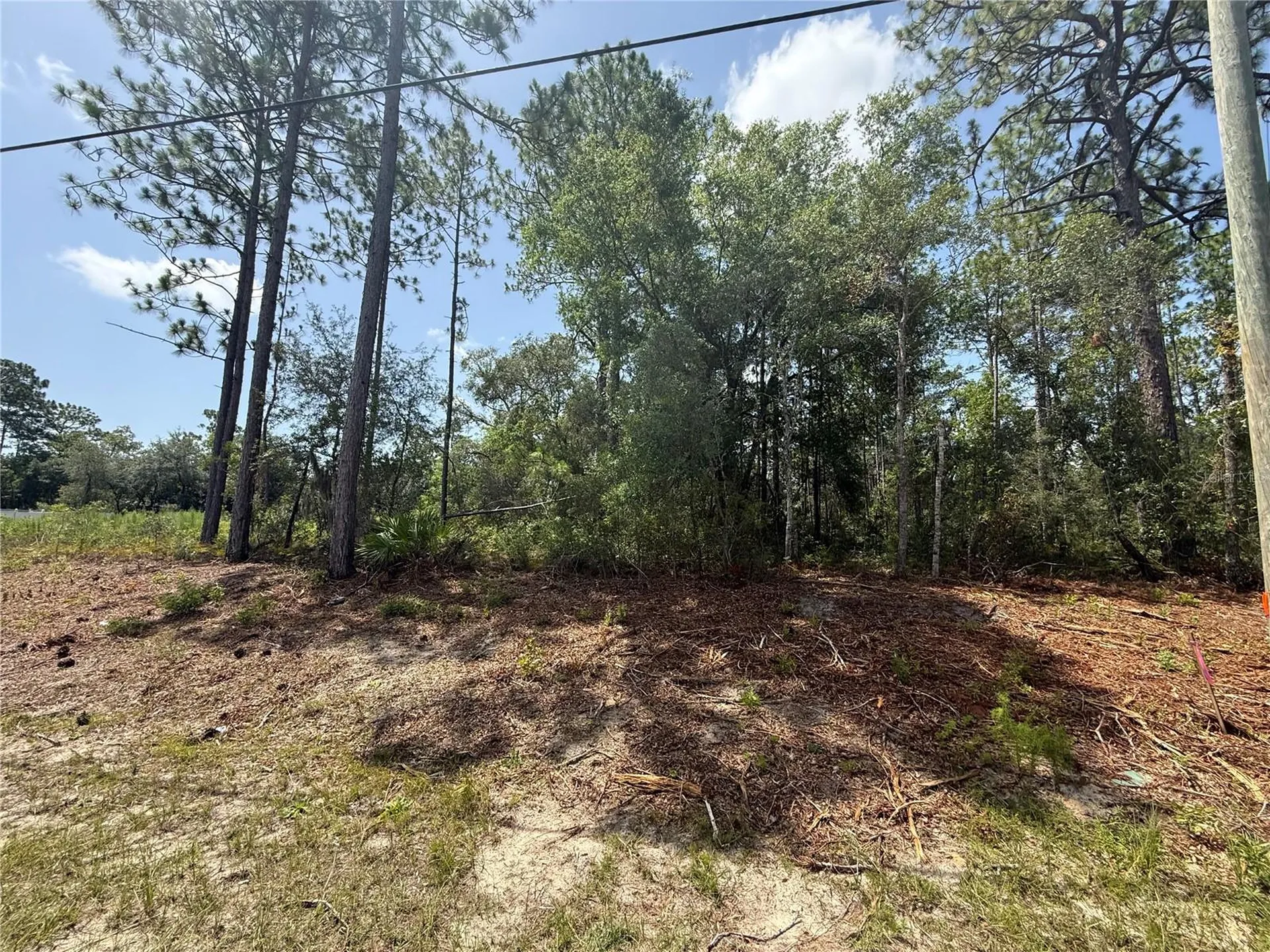 7069 N Santos Drive Citrus Springs FL 34434