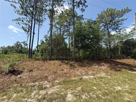 7069 N Santos Drive Citrus Springs FL 34434