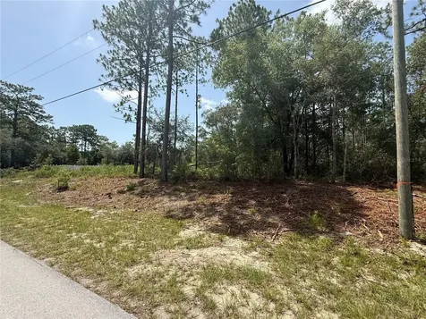 7069 N Santos Drive Citrus Springs FL 34434