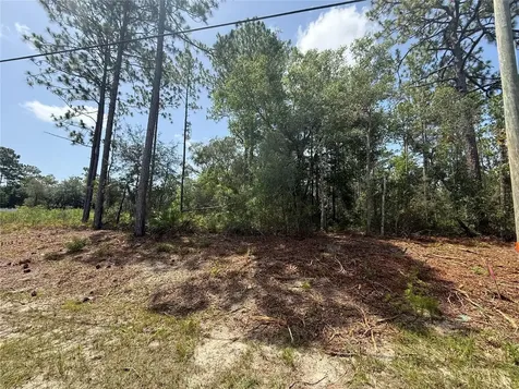 7069 N Santos Drive Citrus Springs FL 34434