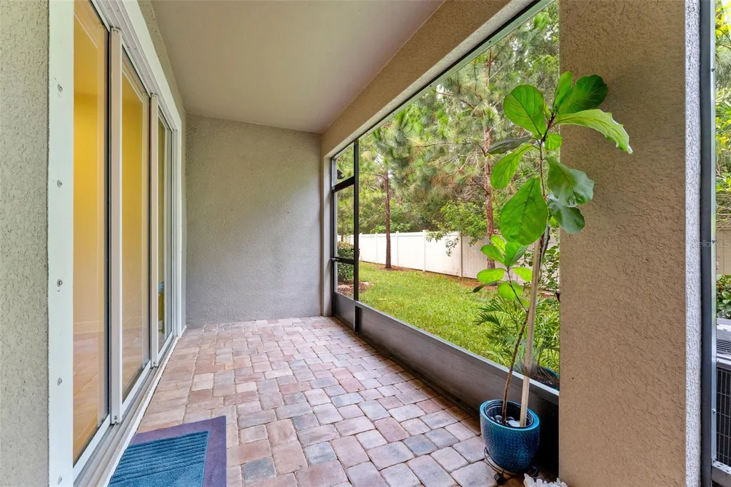 5932 Grand Sonata Avenue Lutz FL 33558