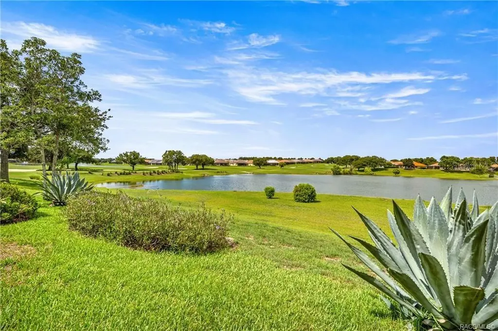 1328 W Diamond Shore Loop Hernando FL 34442