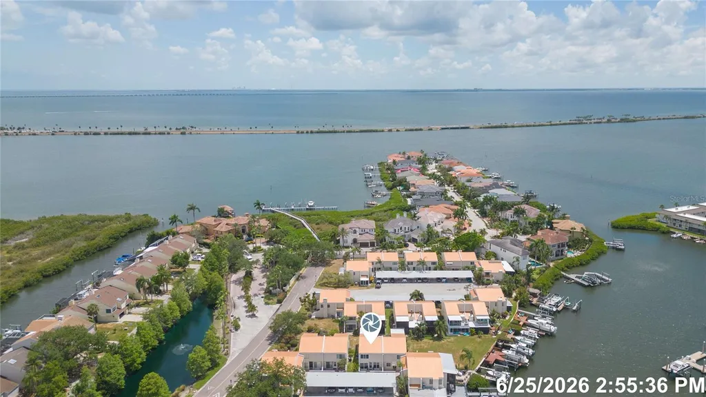 4207 Fogcutter Court Tampa FL 33615