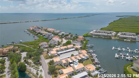 4207 Fogcutter Court Tampa FL 33615