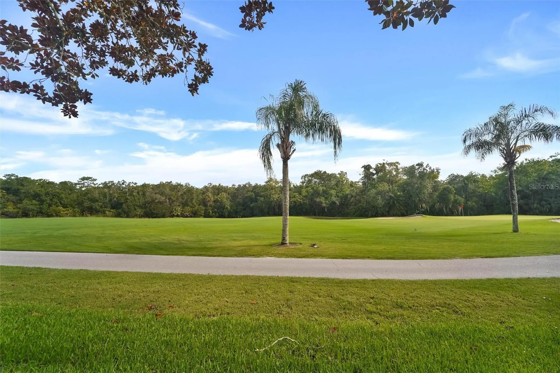 6541 Country Ridge Lane New Port Richey FL 34655