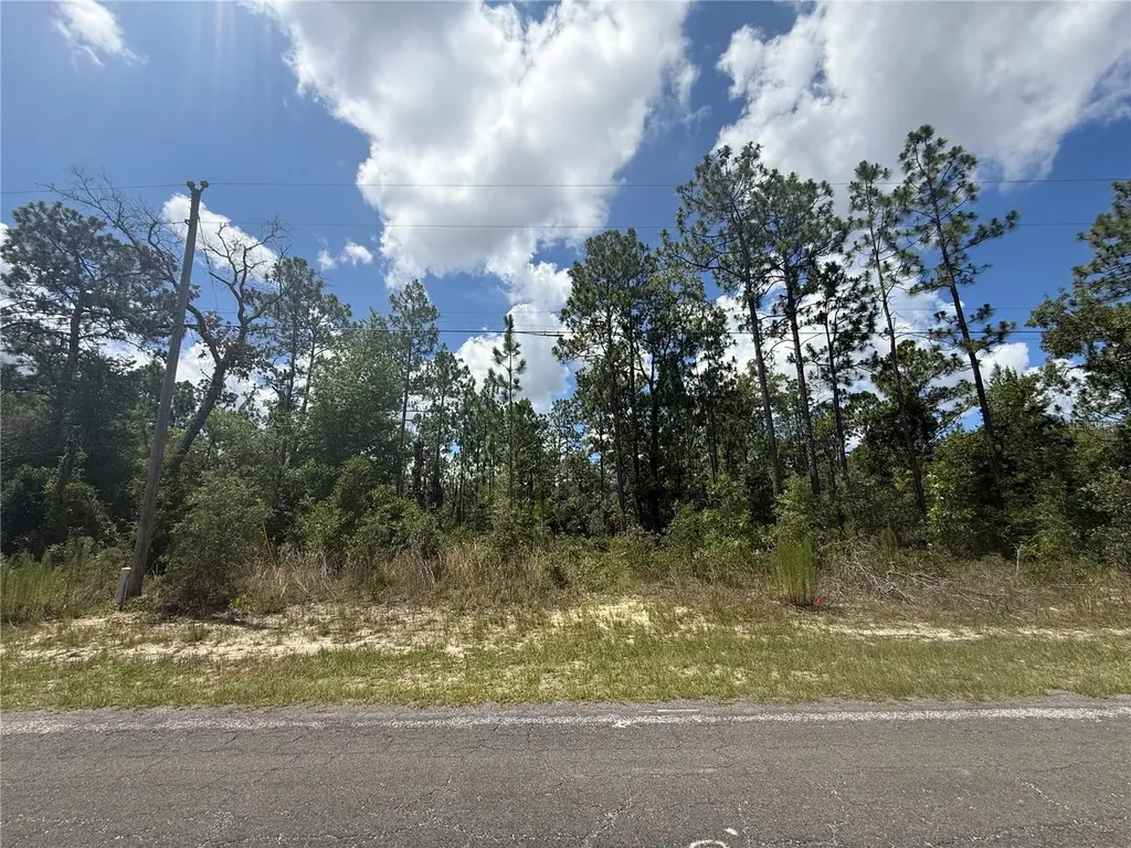 2812 W Edison Place Citrus Springs FL 34433