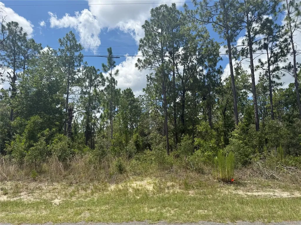 2812 W Edison Place Citrus Springs FL 34433