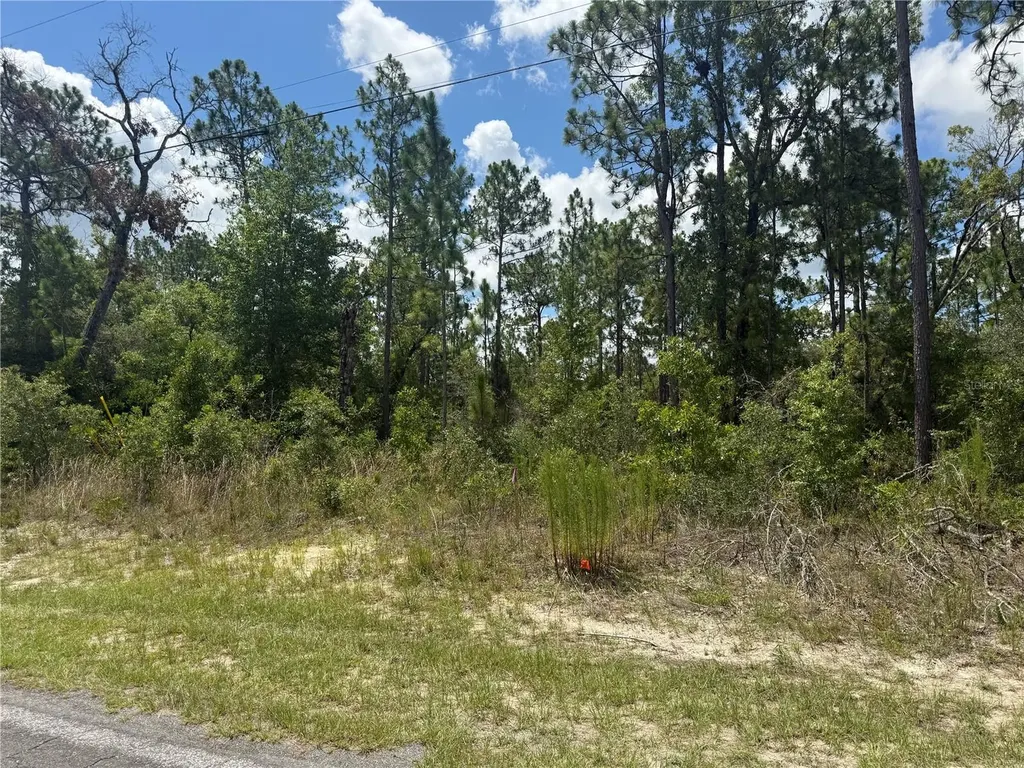 2812 W Edison Place Citrus Springs FL 34433