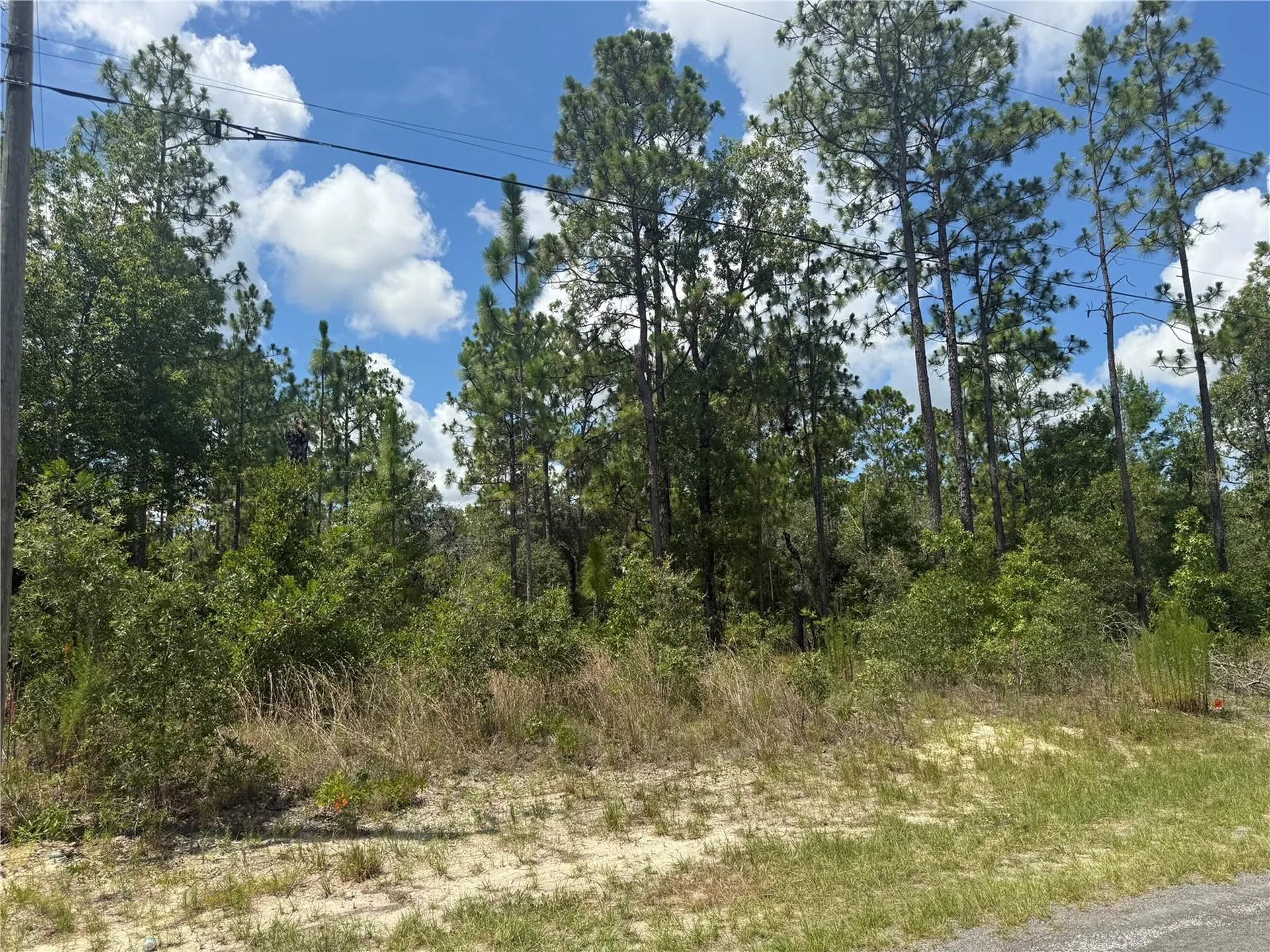 2812 W Edison Place Citrus Springs FL 34433