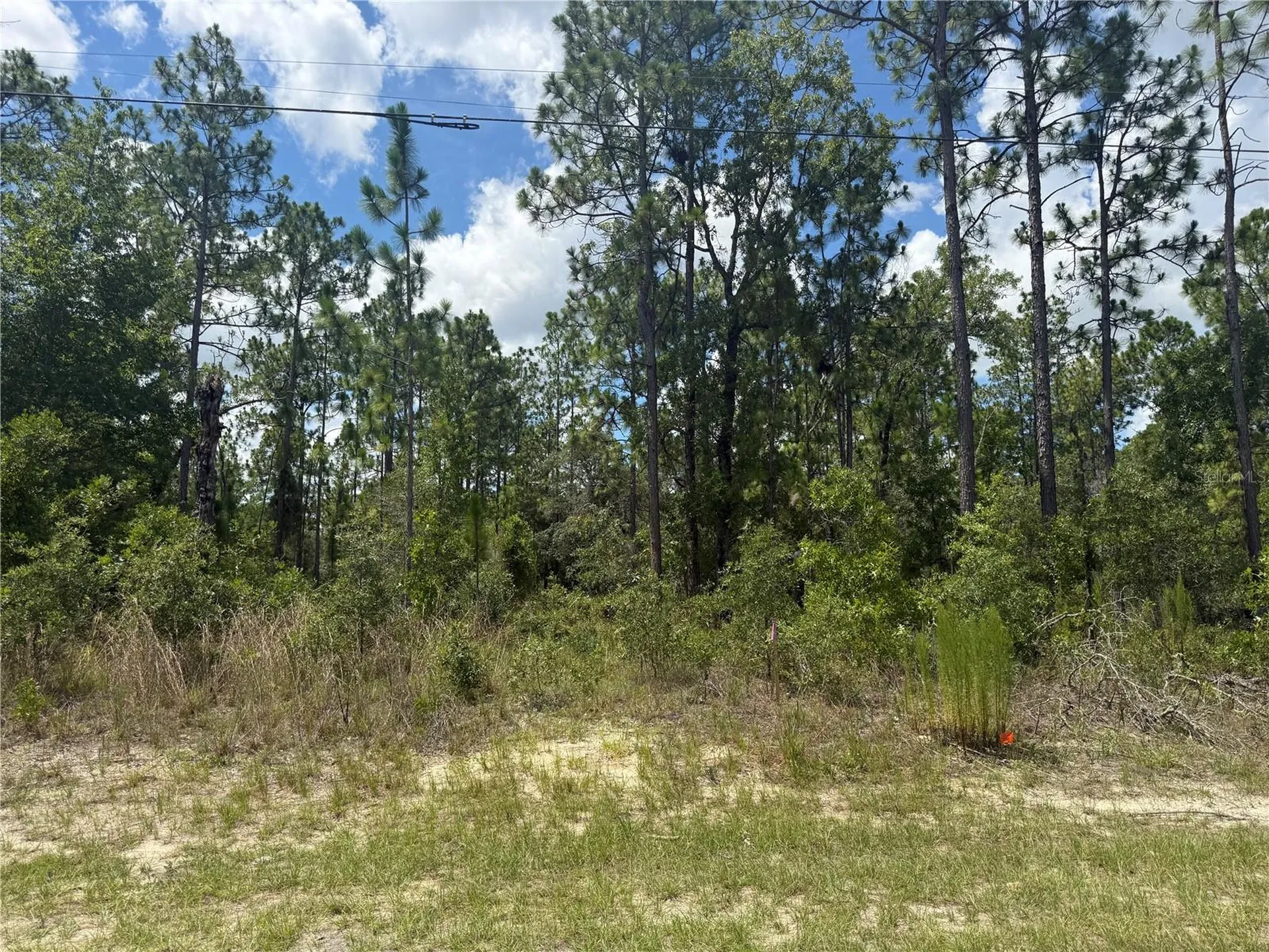 2812 W Edison Place Citrus Springs FL 34433