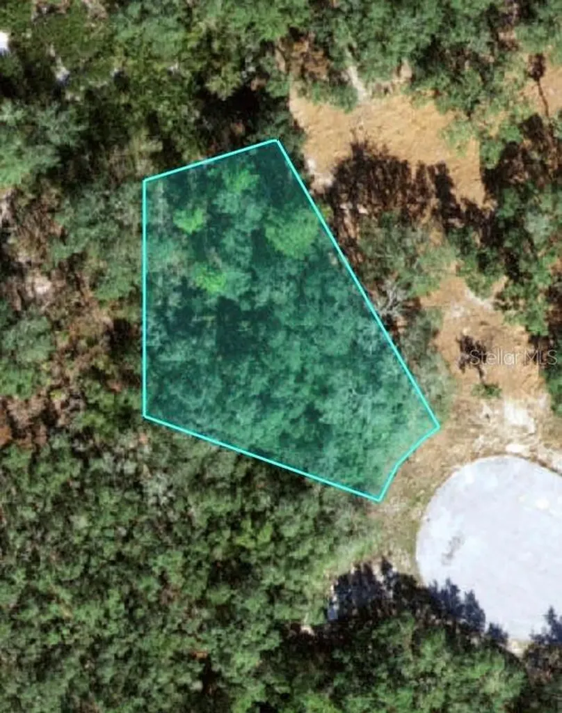 121 Warmouth Lane Poinciana FL 34759