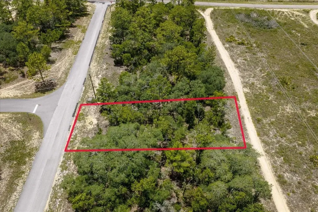 6830 N Sandborn Loop Citrus Springs FL 34433