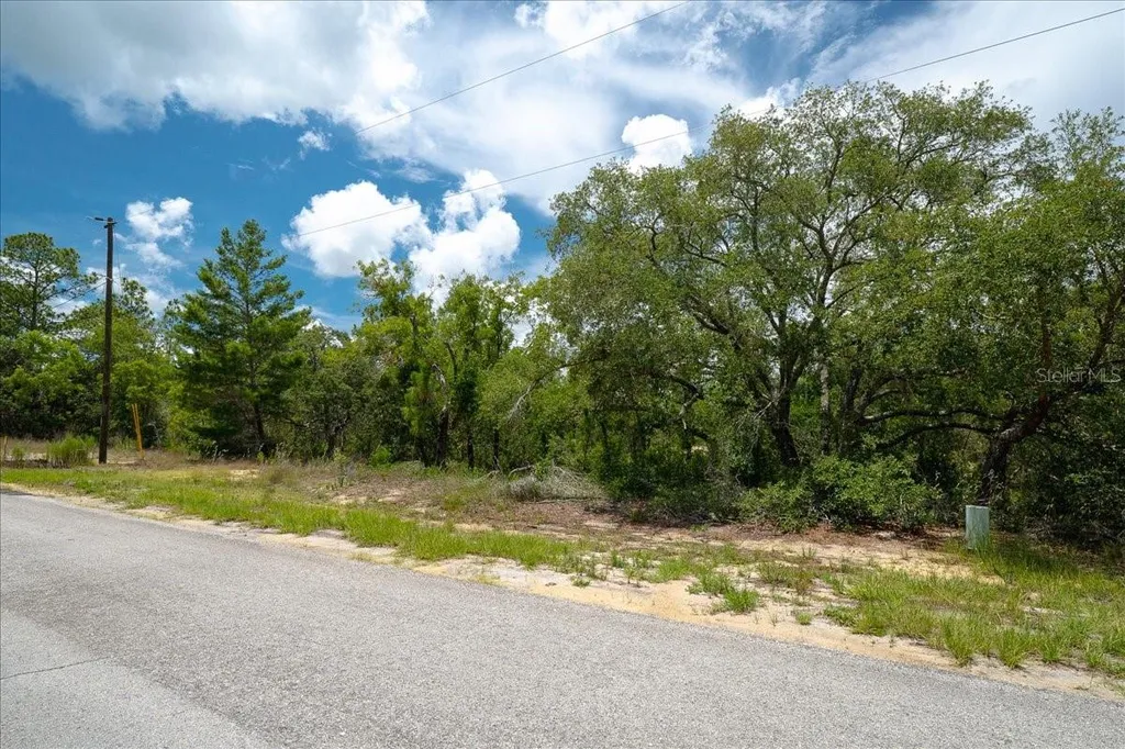6830 N Sandborn Loop Citrus Springs FL 34433