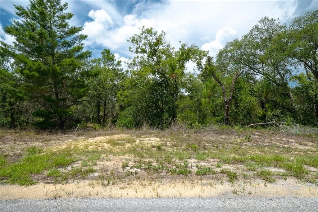 6830 N Sandborn Loop Citrus Springs FL 34433