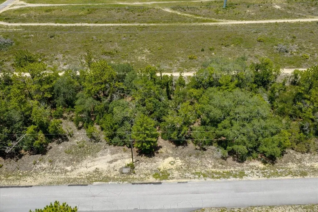 6830 N Sandborn Loop Citrus Springs FL 34433