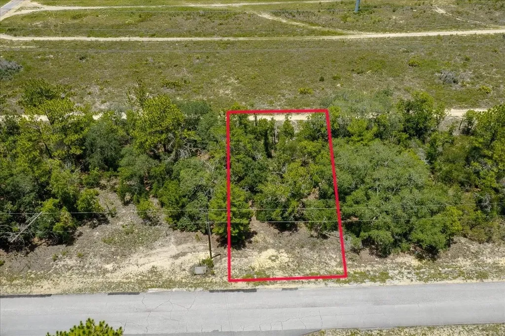 6830 N Sandborn Loop Citrus Springs FL 34433