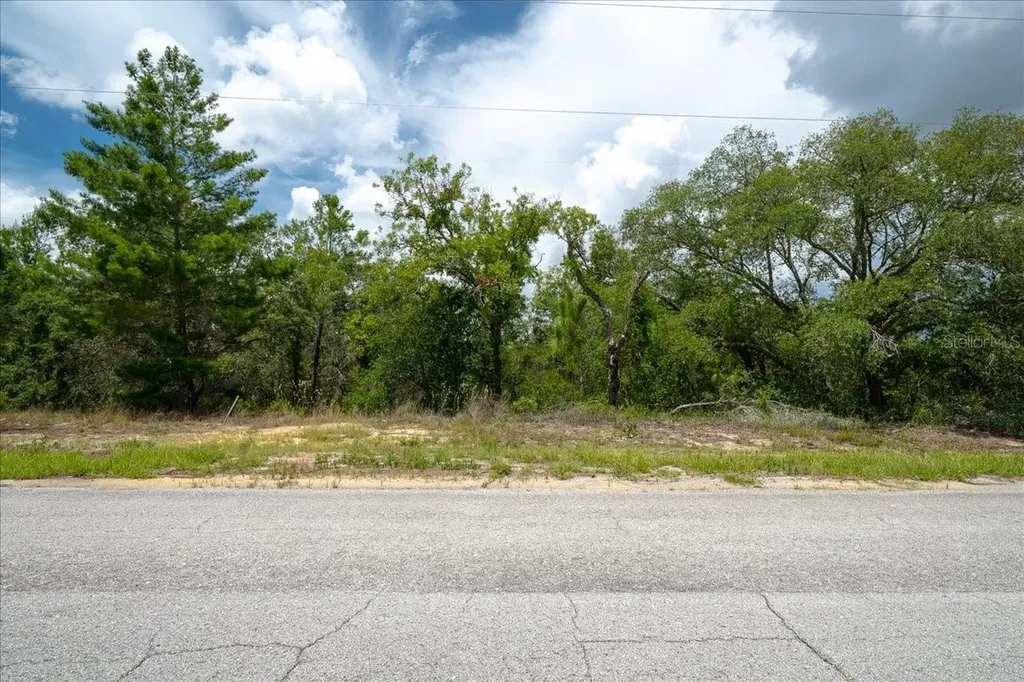 6830 N Sandborn Loop Citrus Springs FL 34433