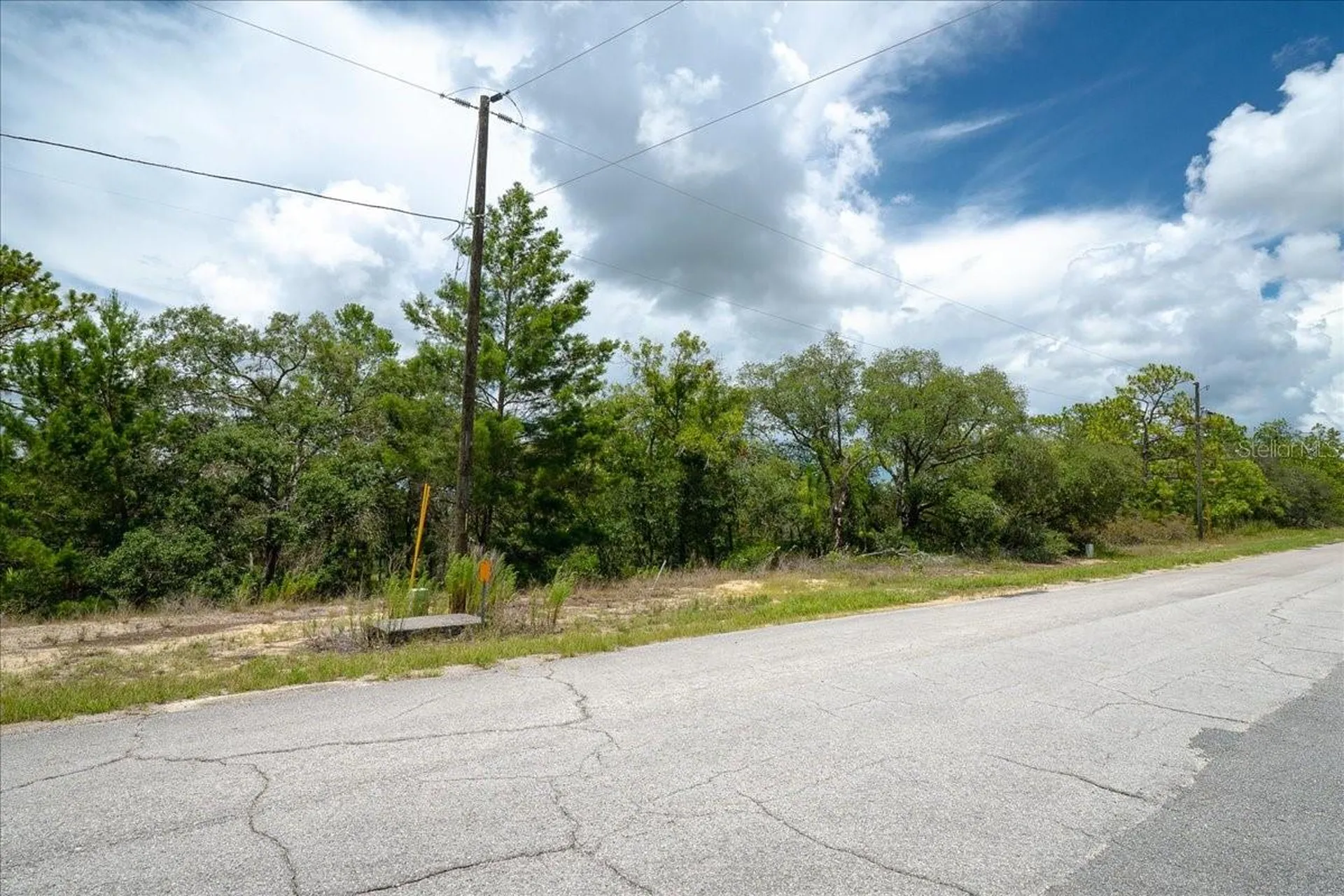 6830 N Sandborn Loop Citrus Springs FL 34433