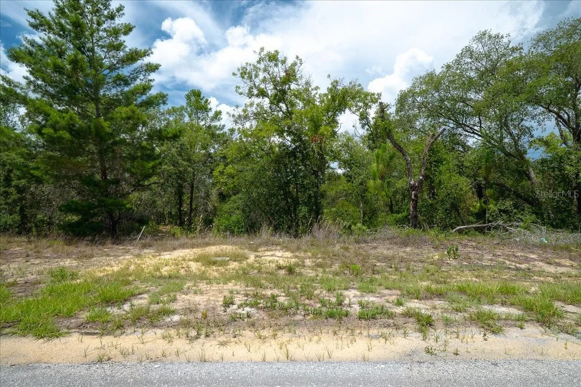 6830 N Sandborn Loop Citrus Springs FL 34433