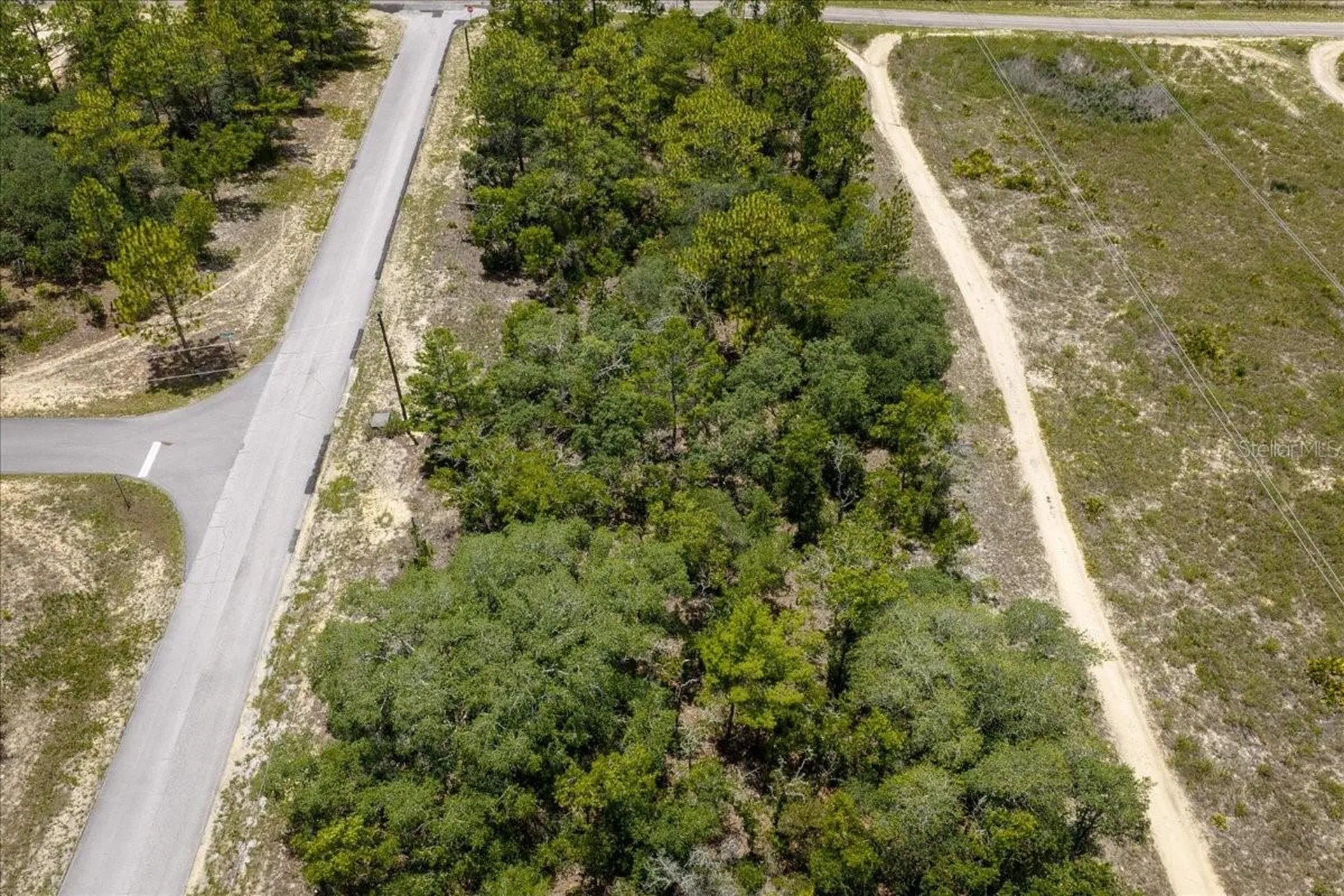 6830 N Sandborn Loop Citrus Springs FL 34433