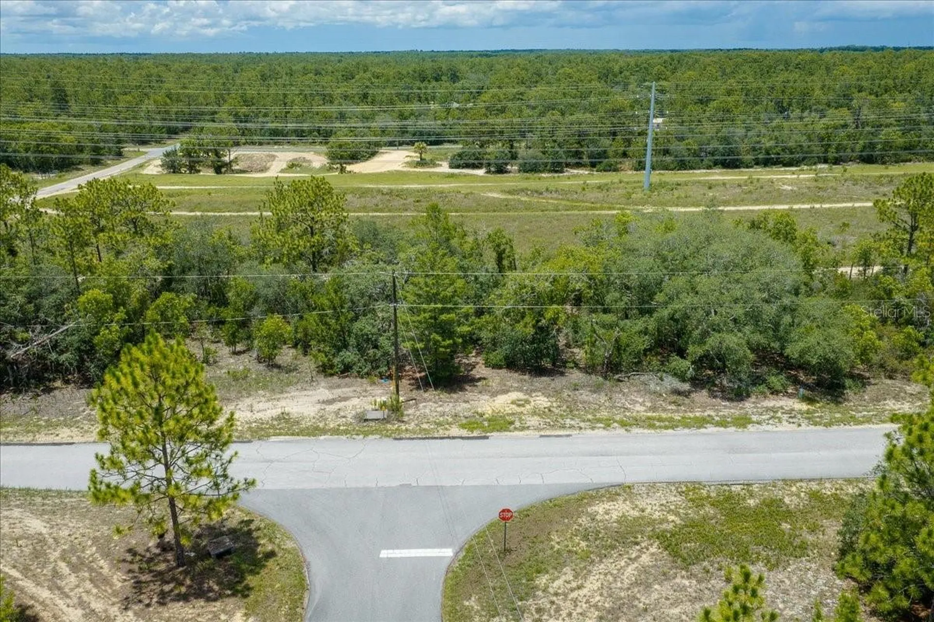 6830 N Sandborn Loop Citrus Springs FL 34433
