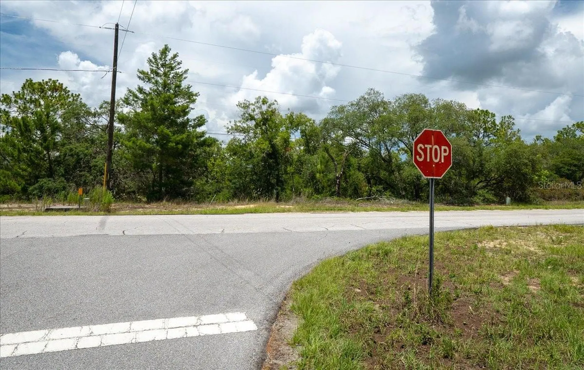 6830 N Sandborn Loop Citrus Springs FL 34433