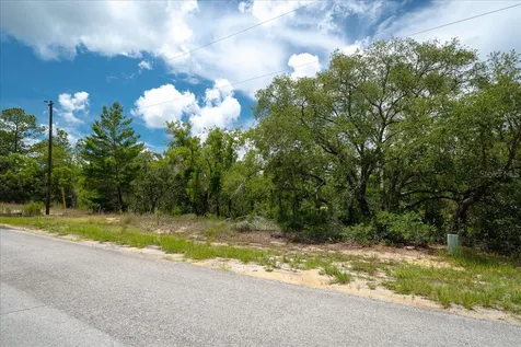 6830 N Sandborn Loop Citrus Springs FL 34433
