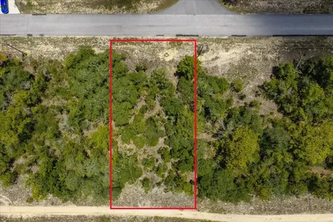 6830 N Sandborn Loop Citrus Springs FL 34433