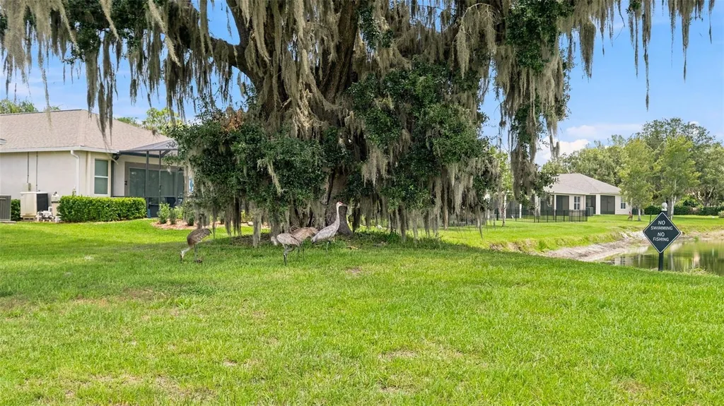 5315 Cappleman Loop Brooksville FL 34601