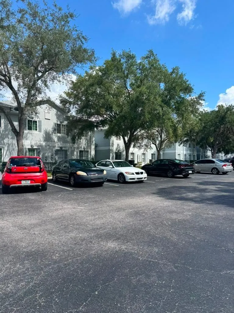 4140 Dolphin Drive Tampa FL 33617