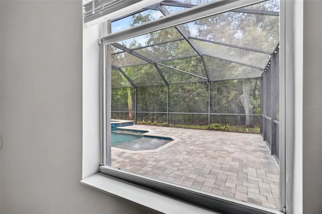 6135 Whimbrelwood Drive Lithia FL 33547