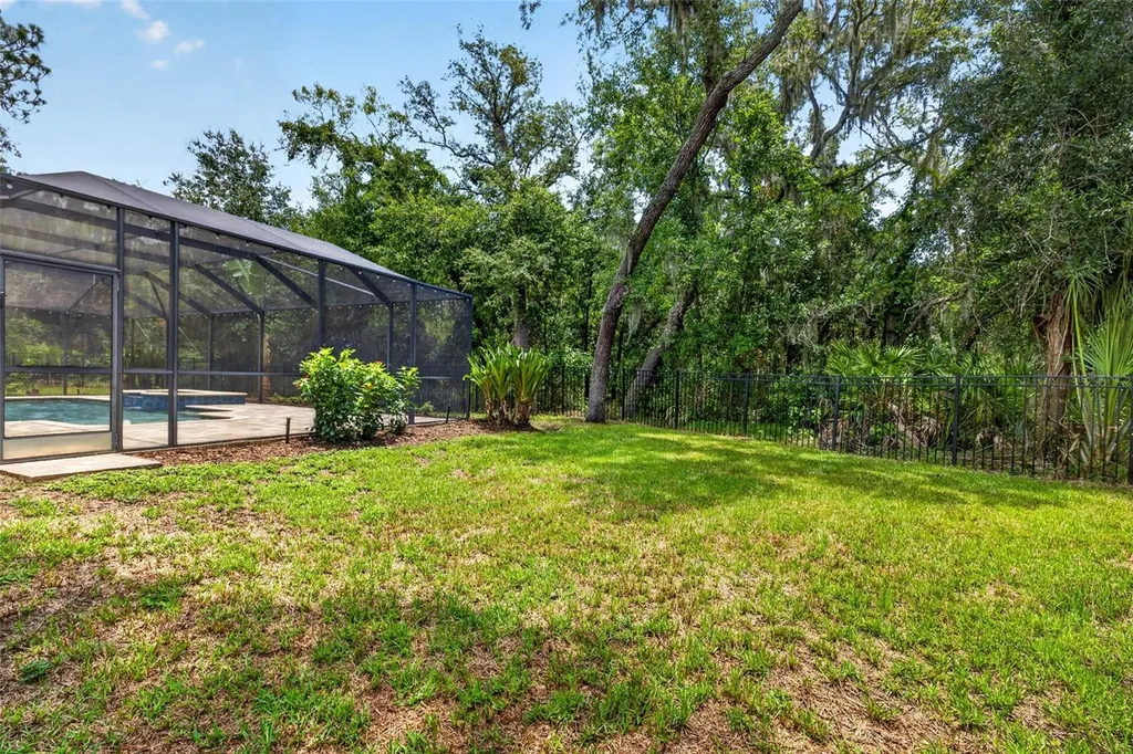 6135 Whimbrelwood Drive Lithia FL 33547